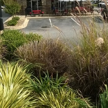 Cook Out - Burgers Near Me - Boiling Springs, South Carolina Cook Out - Burgers Near Me - Boiling Springs, South Carolina