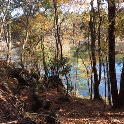 Boggs & Boulders - One of the ponds