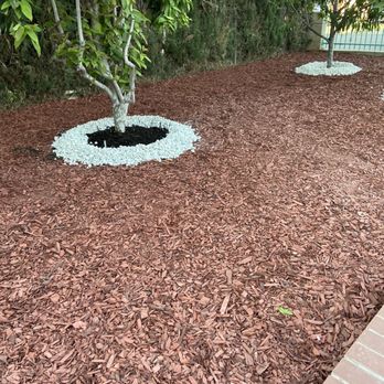Eder Tree Service and Lawn Maintenance - Tree Services Near Me - Riverside, California Eder Tree Service and Lawn Maintenance - Tree Services Near Me - Riverside, California