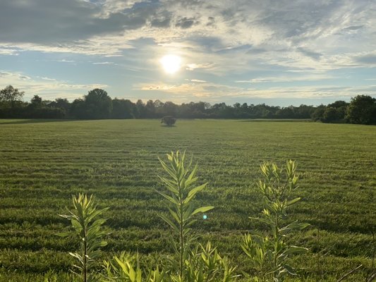 Legacy Trail by null