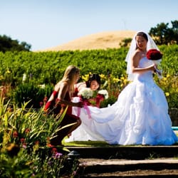 Little House Weddings - one of the amazing things about Little House is being completely surrounded by lush plants and vineyards