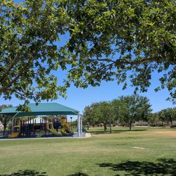 The playground