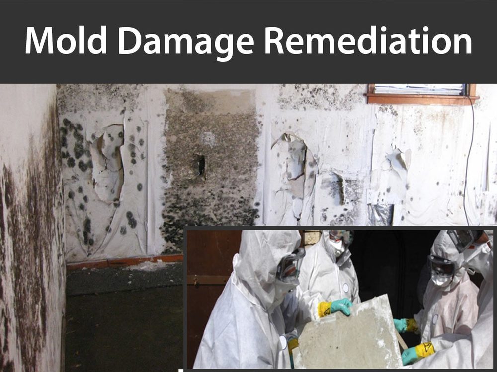 CANADA WIDE RESTORATION Updated September 2024 10 Photos 518 10th