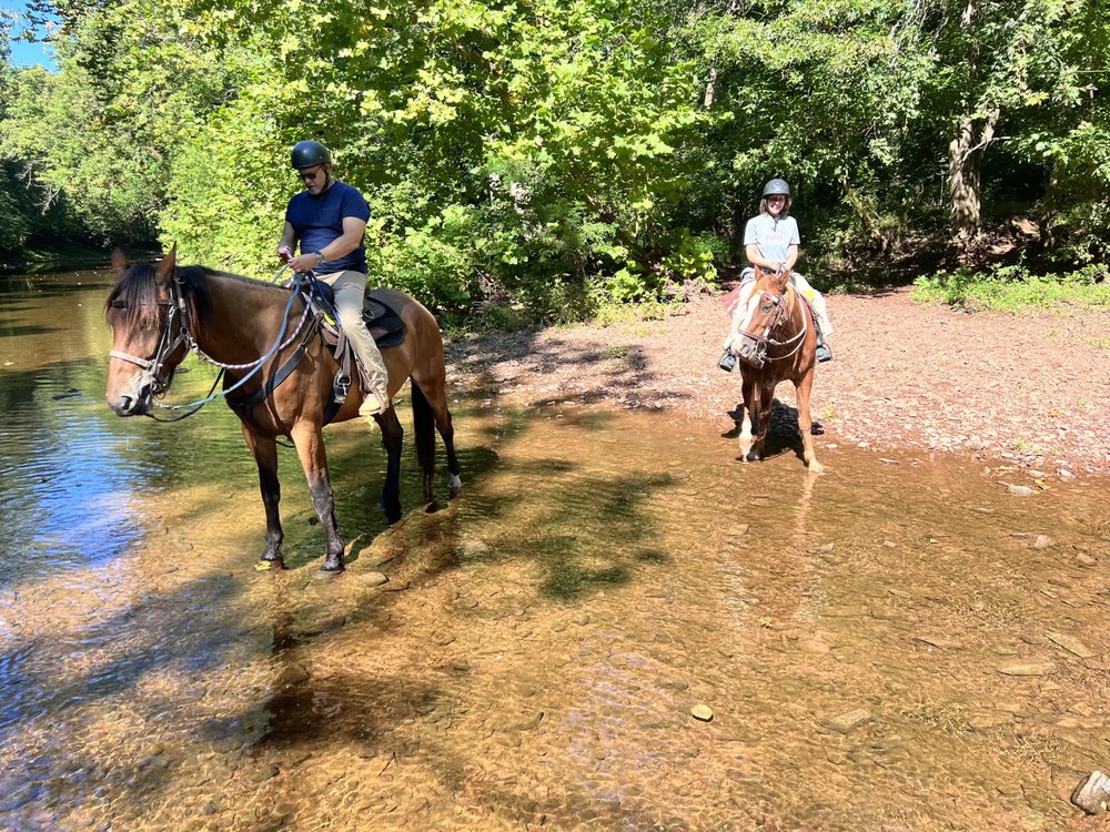 Red  Buffalo Ranch - equestrian in Collegeville, PA