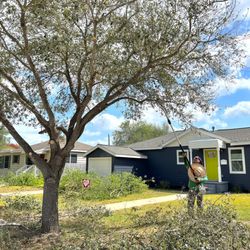 Callaway's Tree Service - Calloway's Tree Service Corpus Christi Texas