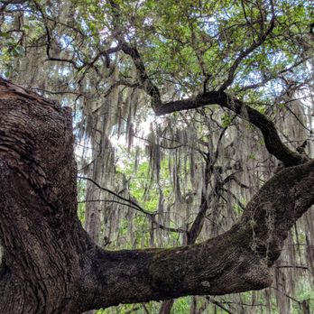 Guadalupe River State Park - Parks Near Me - Spring Branch, Texas Guadalupe River State Park - Parks Near Me - Spring Branch, Texas