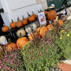 Whole Foods Market - Beautiful Halloween display - Oct 2025