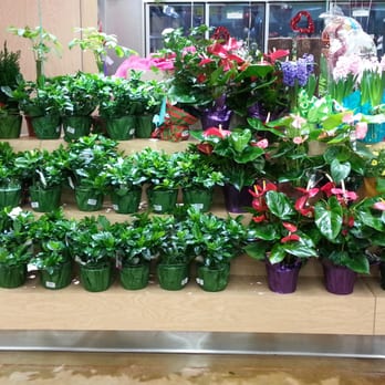 Northgate Market - Flower Shop! - Bakeries Near Me - Long Beach, California Northgate Market - Flower Shop! - Bakeries Near Me - Long Beach, California
