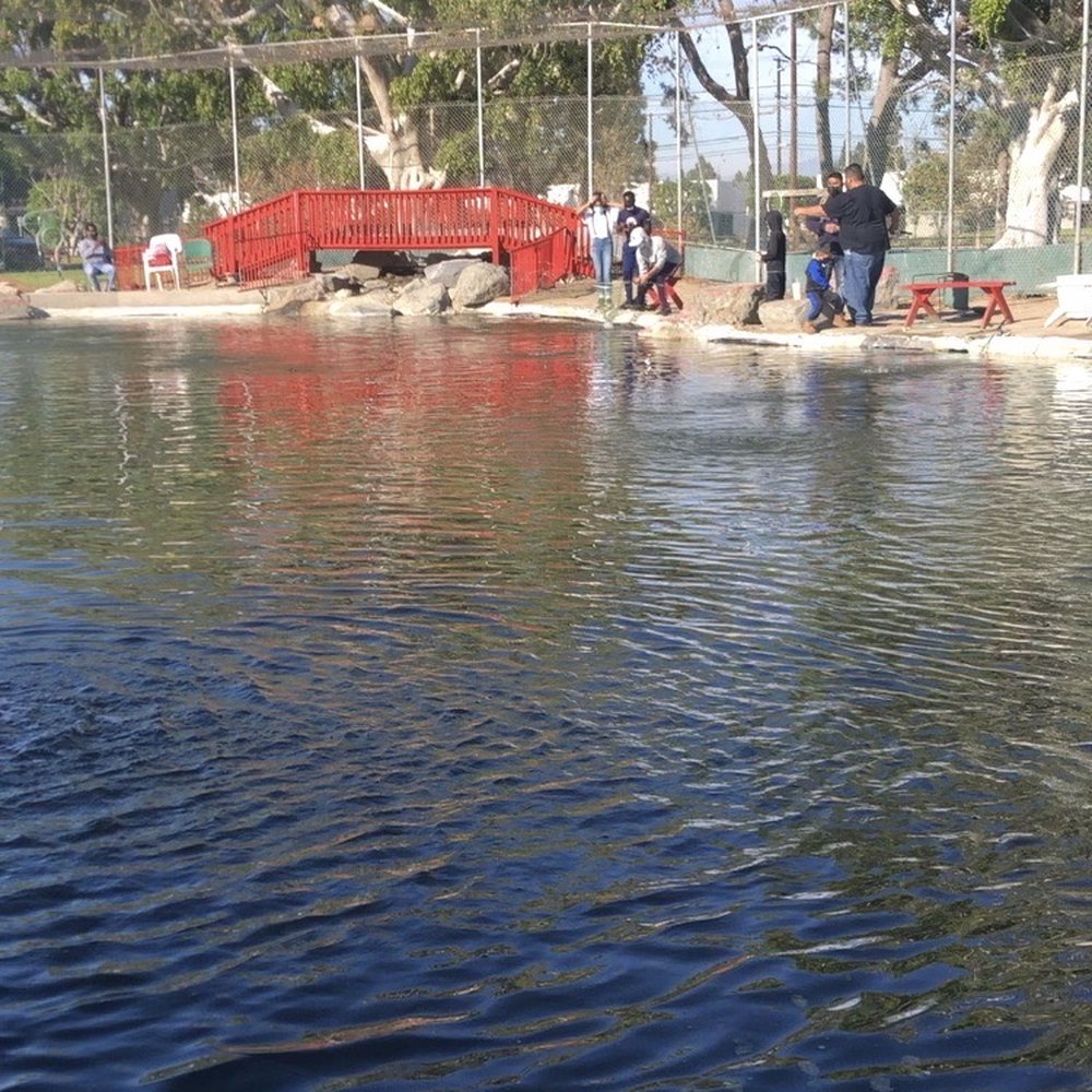 Huckleberry Pond - The Best Fishing Hole in SoCal; Huckleberry Pond! - Fishing Near Me - Anaheim, California Huckleberry Pond - The Best Fishing Hole in SoCal; Huckleberry Pond! - Fishing Near Me - Anaheim, California
