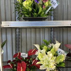 Koolau Farmers - Floral arrangements