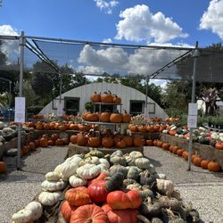 Wimberley Gardens - Pumpkins