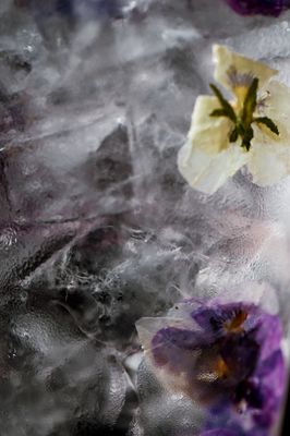 Taishoken NYC by null