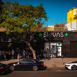 Shivas Dtla