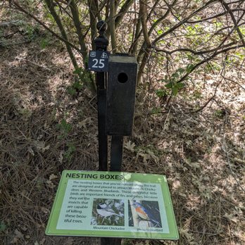 Heaps Peak Arboretum  - Keep your eyes open for birdhouses. You might see a baby peek his head out! - Botanical Gardens Near Me - Lake Arrowhead, California