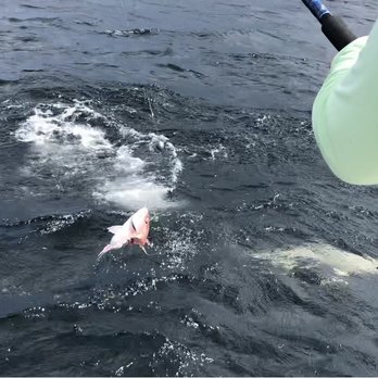 Cowboy Charters - Hammer head got our catch before we could! - Boat Charters Near Me - Freeport, Texas
