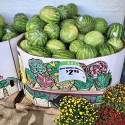 Watermelon