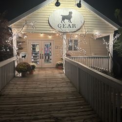Stray Dog Gear - Nice at night