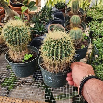Pop's Nursery - OUCH !!! - Nurseries & Gardening Near Me - Hollywood, Florida