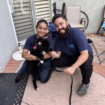 Anemal Pet Spa - Anemal Pet Spa - Pet Groomers Near Me Anemal Pet Spa - Anemal Pet Spa - Pet Groomers Near Me