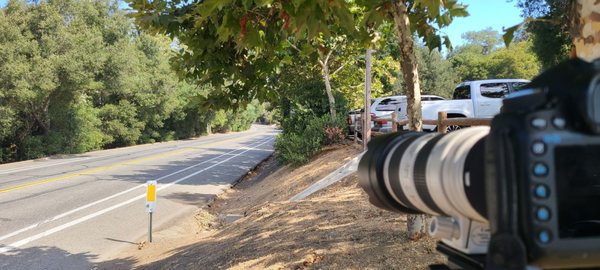 Cook's Corner by null