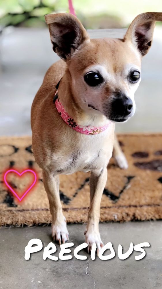 INGLESIDE KENNELS 138 Photos 2322 Ln, Ingleside, TX Yelp