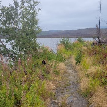 Seven Lakes Trail - Hiking Near Me - Cooper Landing, Alaska Seven Lakes Trail - Hiking Near Me - Cooper Landing, Alaska