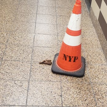 LeFrak City - More dog poop!  Imagine having guests, this is what they are met with in the lobby, right in front of the elevator! - Apartments Near Me - Elmhurst, New York