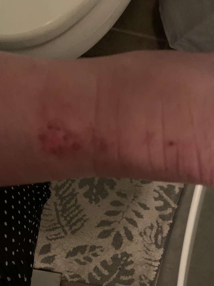 DIAMOND NAILS NAIL SALON 49 Photos & 47 Reviews 3276 Buford Dr