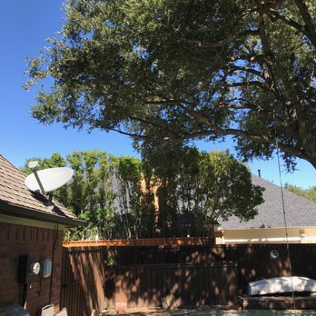 Hernandez Tree Experts - After - Tree Services Near Me Hernandez Tree Experts - After - Tree Services Near Me
