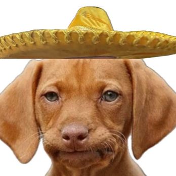 Mi Rancho Alegre - Randy's pera - Mexican Near Me - Lake Katrine, New York Mi Rancho Alegre - Randy's pera - Mexican Near Me - Lake Katrine, New York