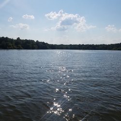 King Creek Resort & Marina - View from the lake from one of their pontoon boats.