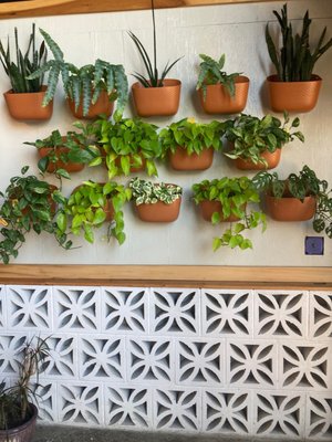 Alcove Beer Garden by null