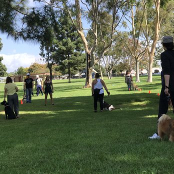 The Dog Listener - Group Class - Pet Training Near Me The Dog Listener - Group Class - Pet Training Near Me