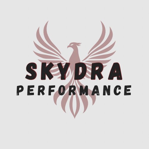 Skydra Performance Logo
