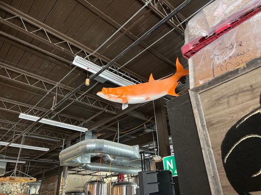 Panther Island Brewing by null