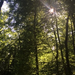 Mooswald In Freiburg - Schöne Stimmung ...