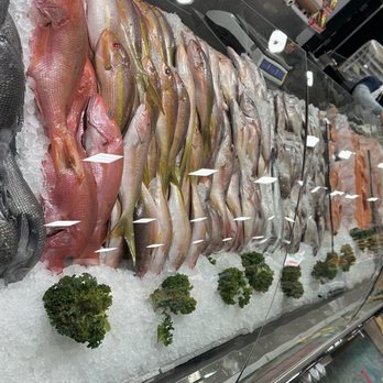 OPEN SEA FISH MARKET - Updated November 2025 - 721 Broadway