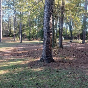 Julien Marx Dog Park - Just dog park and a bench - Dog Parks Near Me - Mobile, Alabama Julien Marx Dog Park - Just dog park and a bench - Dog Parks Near Me - Mobile, Alabama