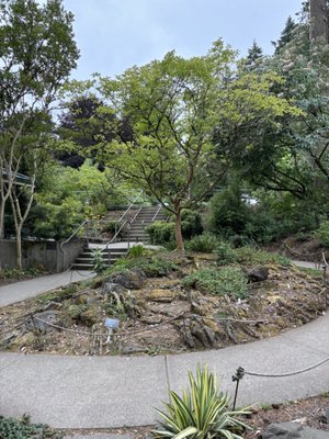 Hoyt Arboretum by null