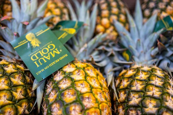 Maui Pineapple Tour by null