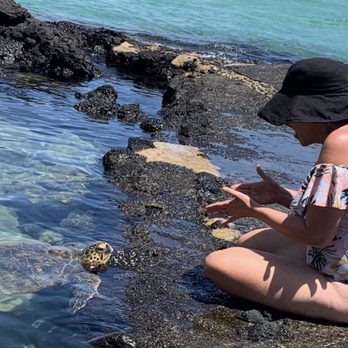 Carlsmith Beach Park - Beach Park - Parks Near Me - Hilo, Hawaii