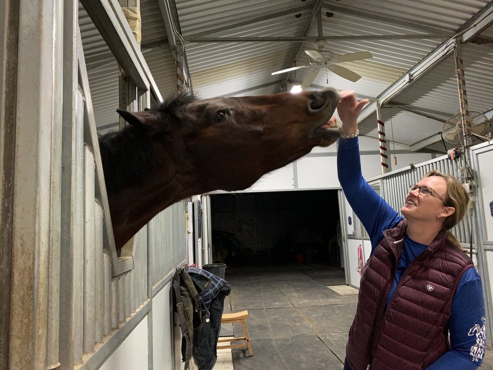 OAK KNOLL EQUESTRIAN CENTER Updated September 2024 1571 Oak Knoll