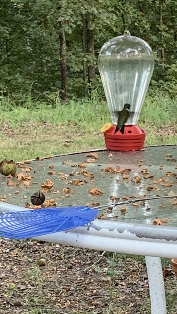 DEER RUN RV PARK CAMPGROUND Updated September 2024 5055 NW Hwy B