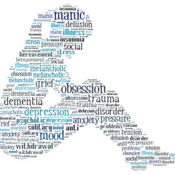 Meraki Health - Mental Health Assessments