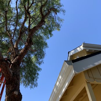 Payne Tree Care - No more branches over the roof! - Tree Services Near Me Payne Tree Care - No more branches over the roof! - Tree Services Near Me