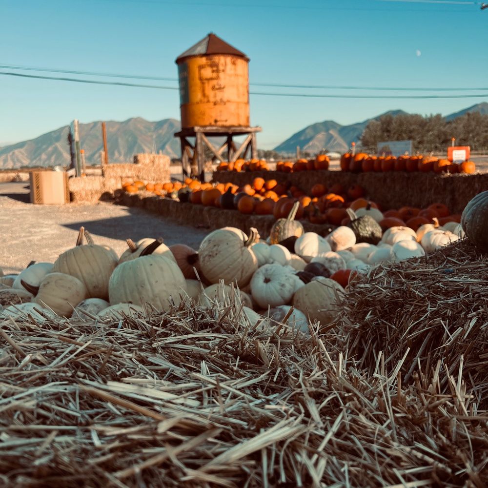 Gordos Fun Farm - Pumpkin Patches Near Me - Spanish Fork, Utah Gordos Fun Farm - Pumpkin Patches Near Me - Spanish Fork, Utah