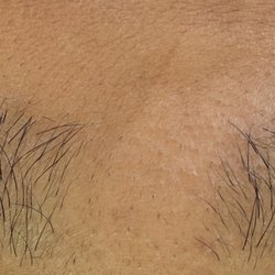 Para Brows