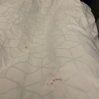 Holiday Inn Express & Suites Leander - Stains. - Hotels Near Me - Leander, Texas Holiday Inn Express & Suites Leander - Stains. - Hotels Near Me - Leander, Texas