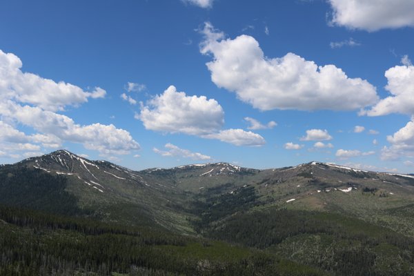 Mt Washburn by null