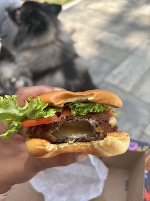 Shake Shack Pike 7 by null